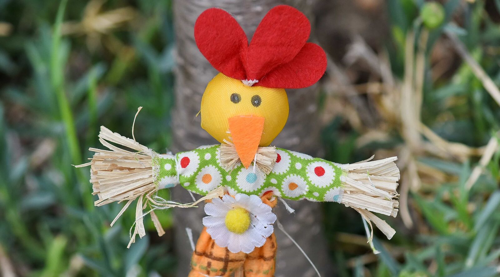 Nikon D5500 sample photo. Decoration, doll, toy, summer photography