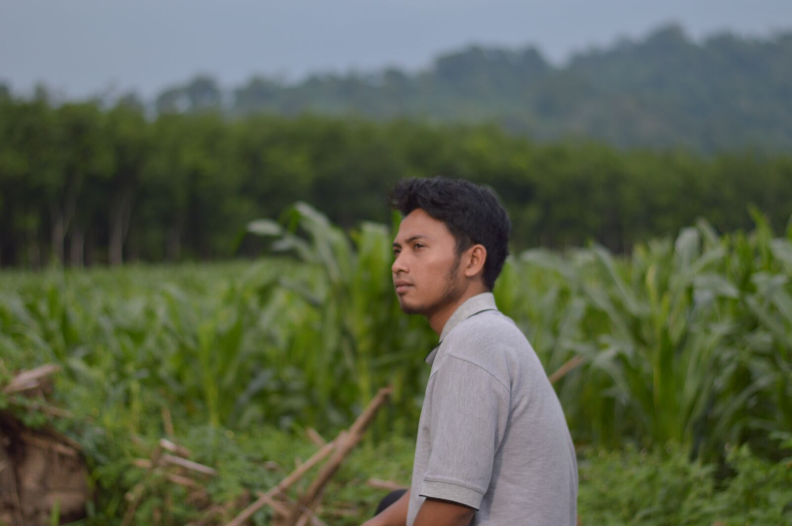 Nikon D3200 sample photo. Corn, agriculture, ta photography