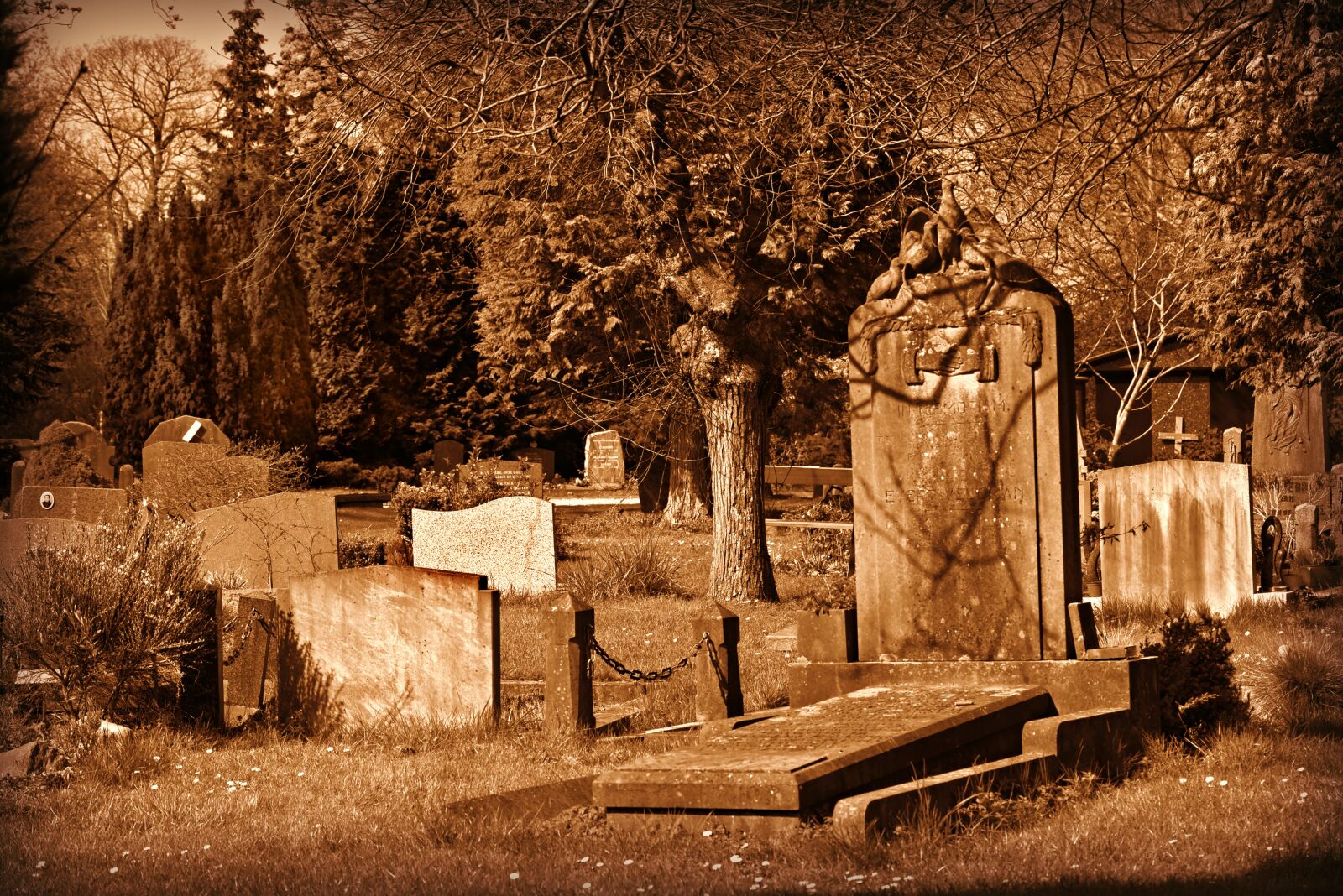 Nikon D750 sample photo. Cemetery, graveyard, grave photography