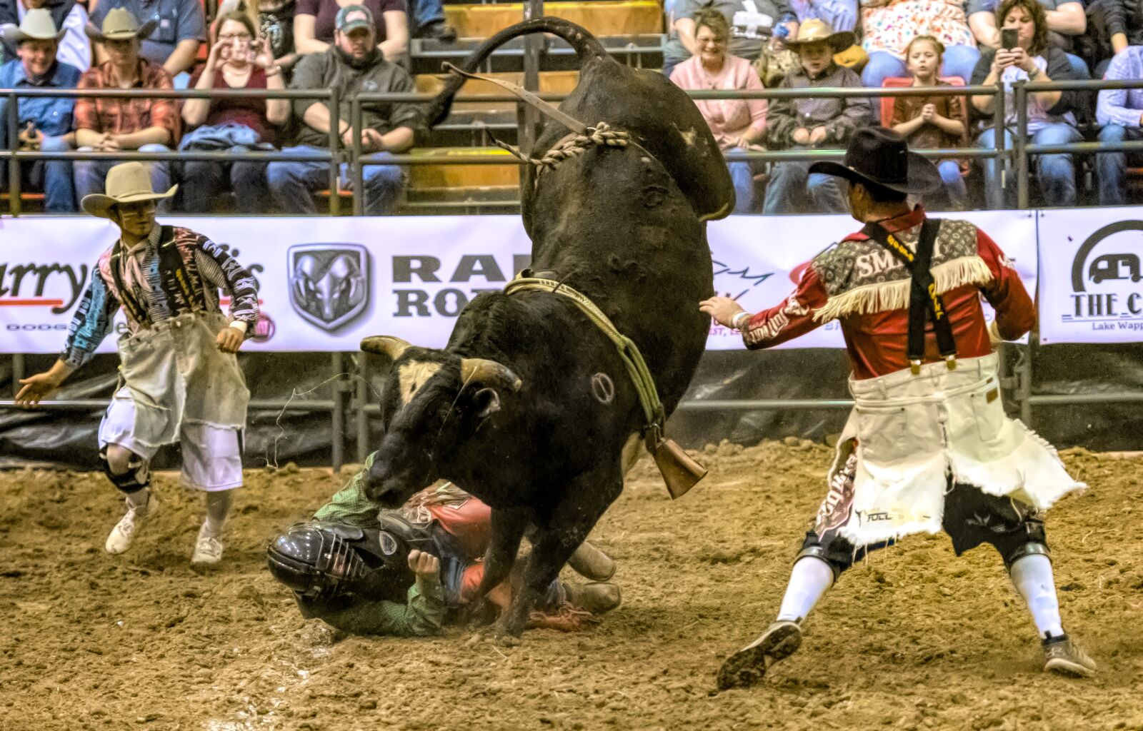 Nikon D850 sample photo. Bull rider, bull, rodeo photography