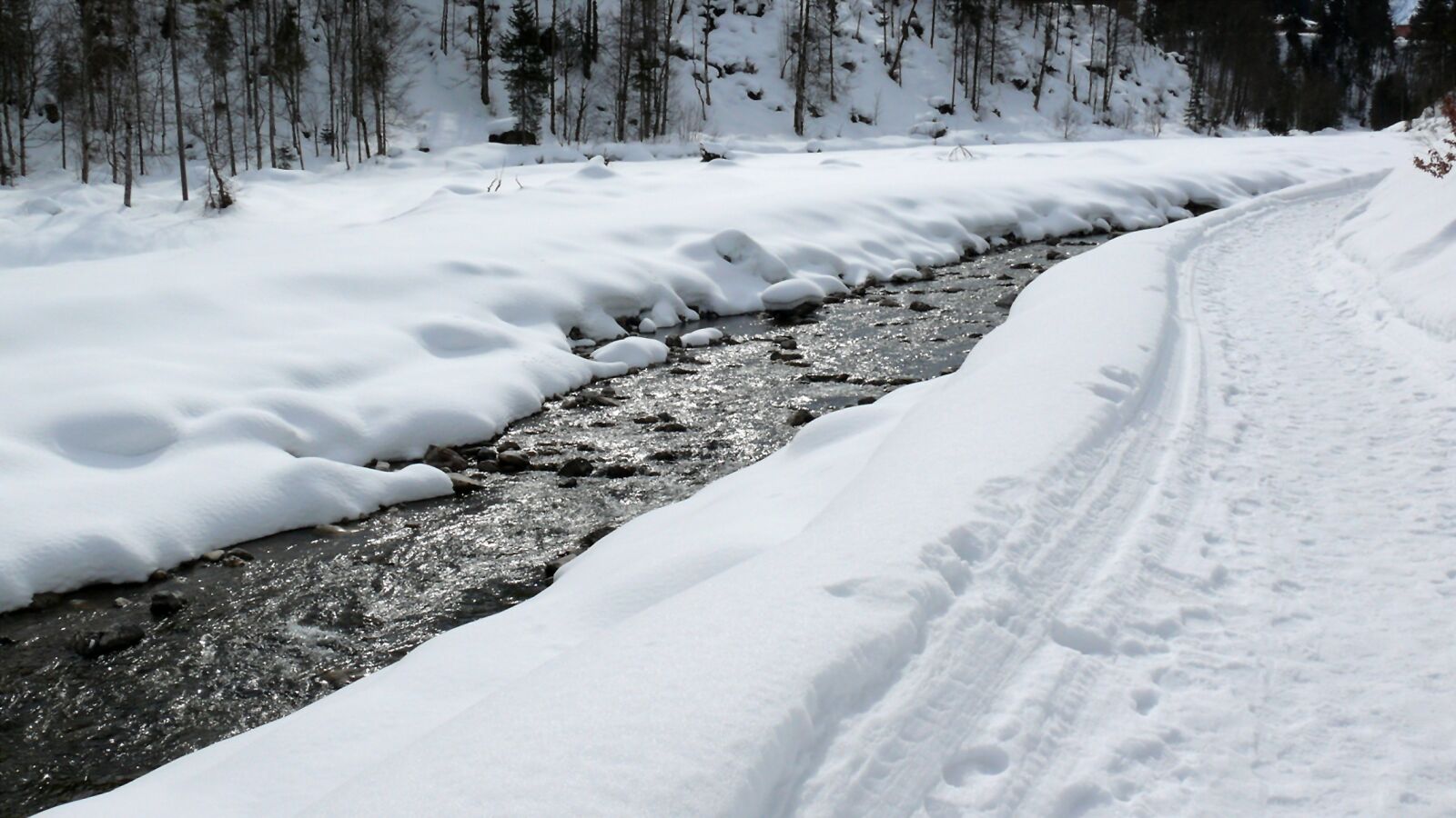 Leica V-LUX 1 sample photo. Ice, eiskristalle, winter photography