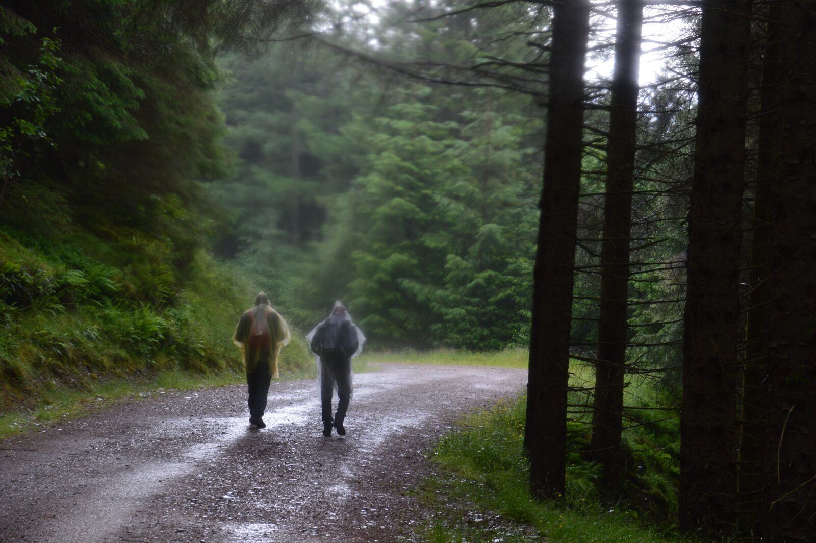 Nikon D3200 sample photo. Rain, dark, storm photography