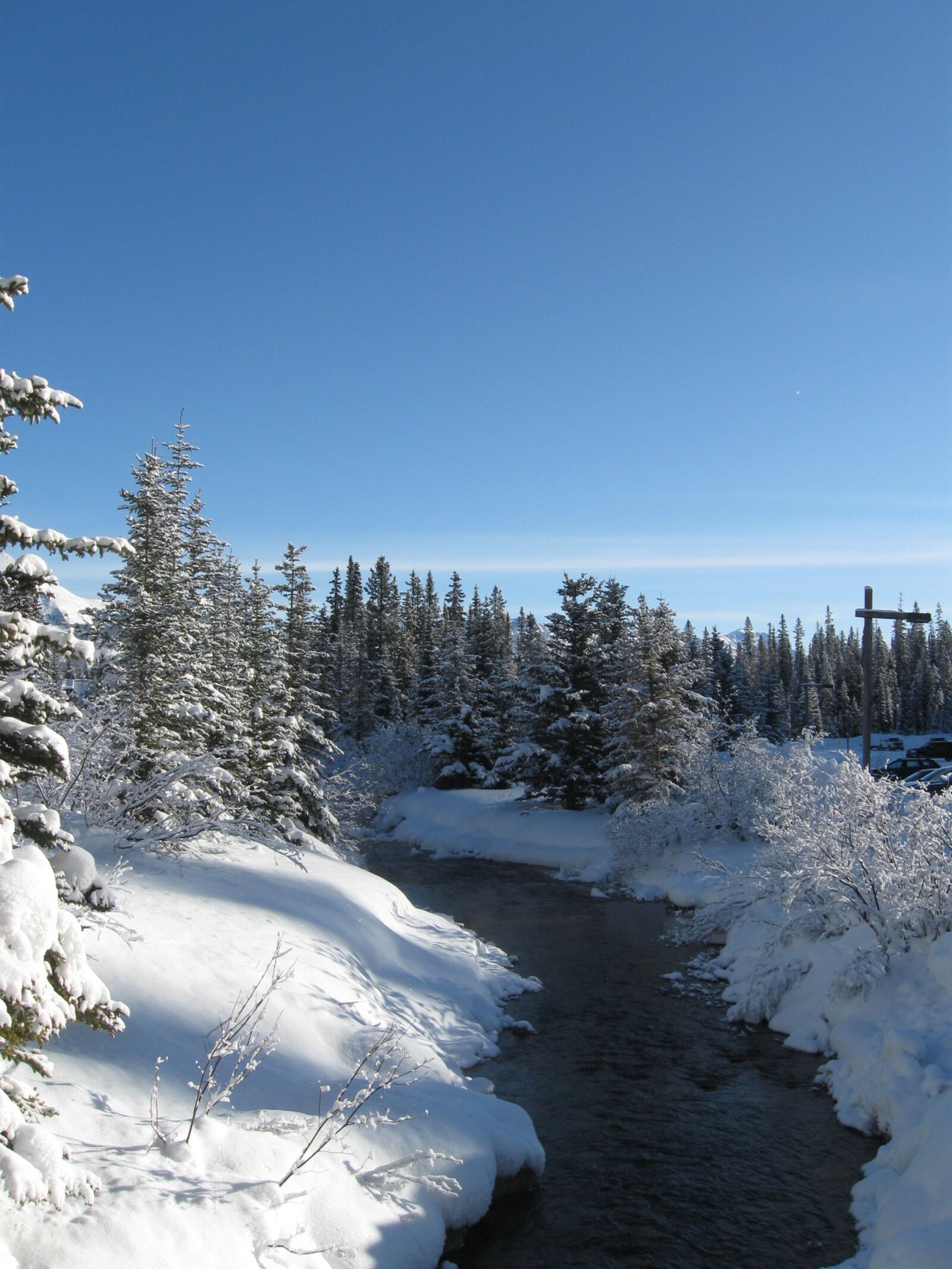Canon PowerShot A590 IS sample photo. Snow, tree, stream photography