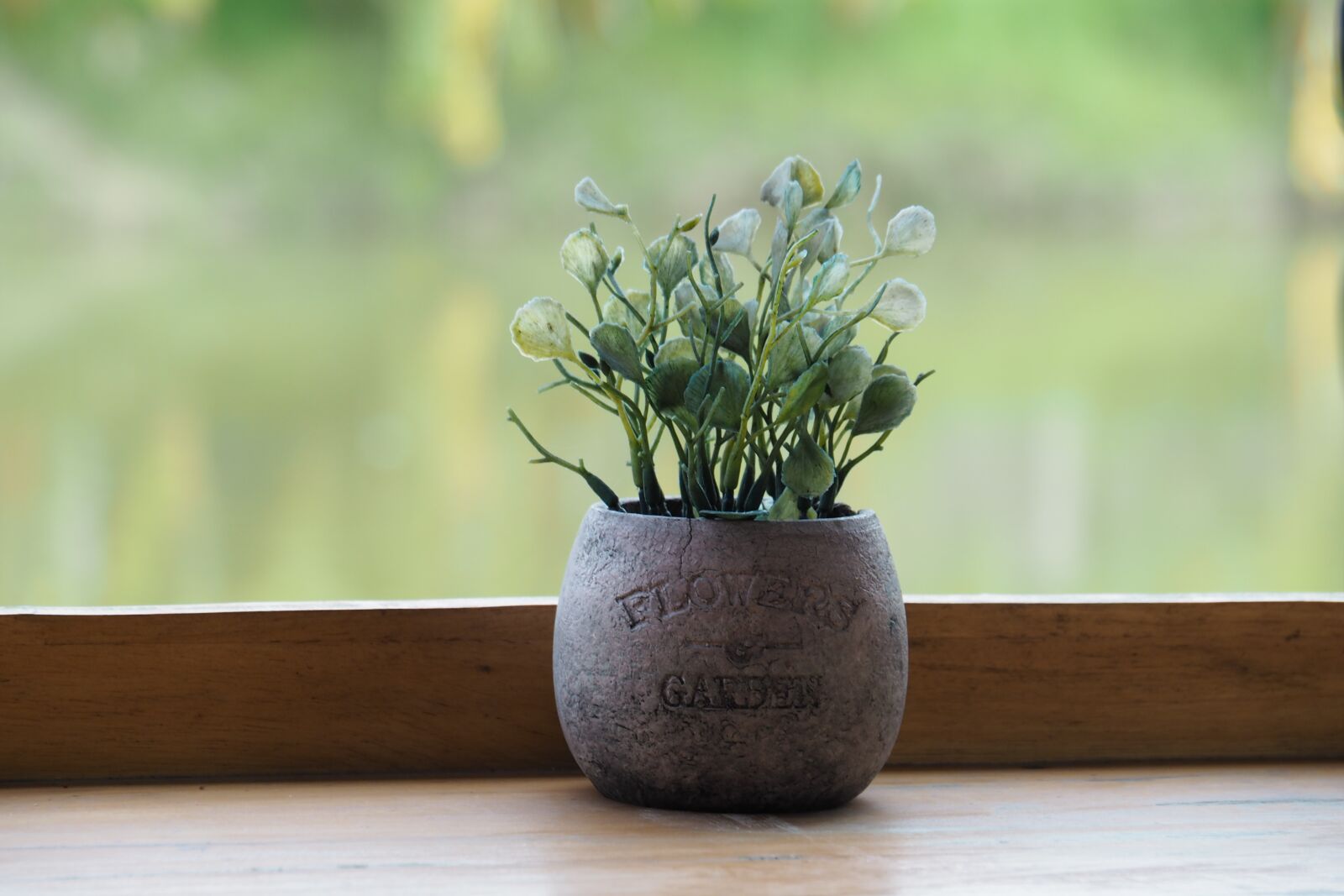 Olympus PEN E-PL7 sample photo. Flower pot, tree, plant photography