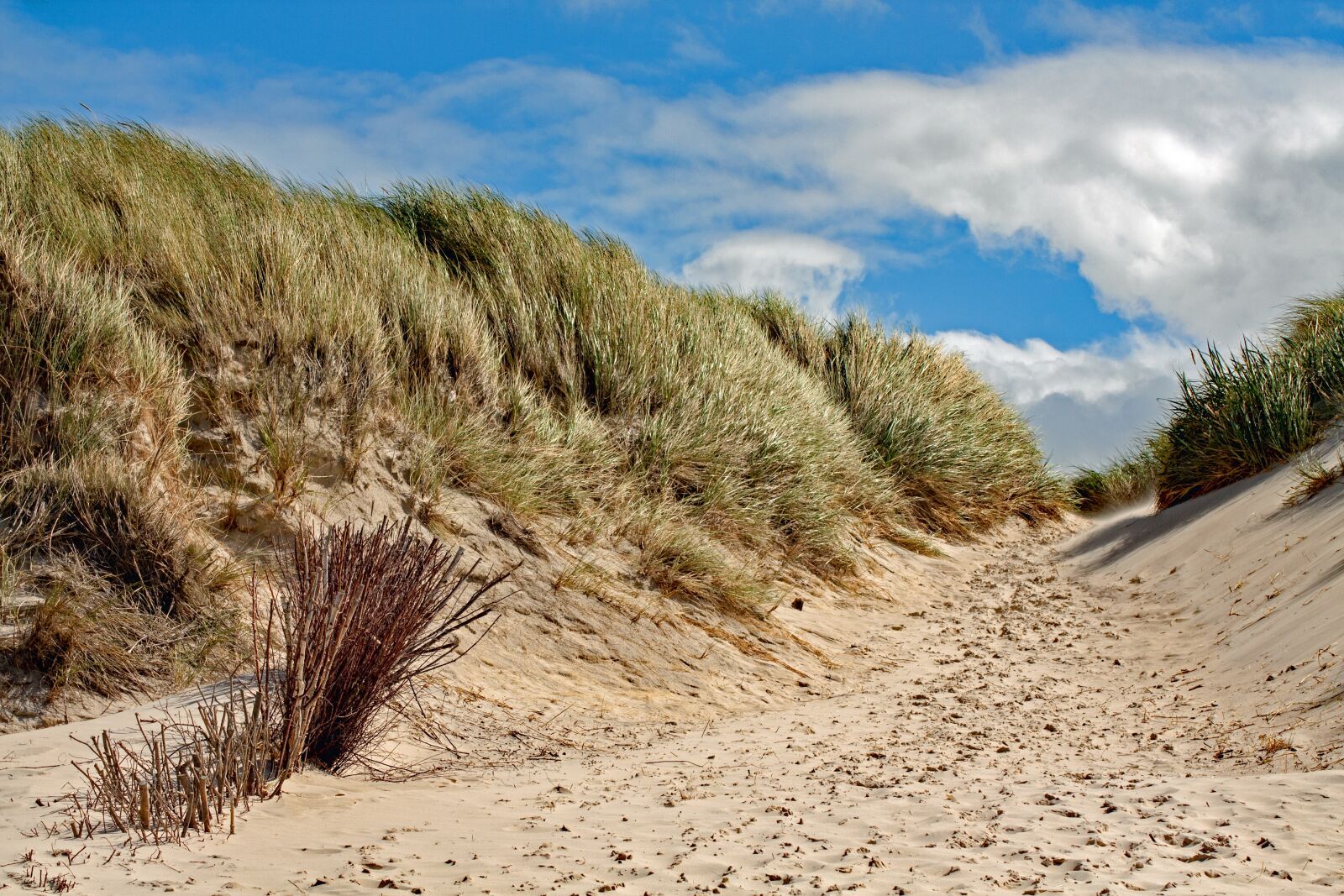 Canon EOS 450D (EOS Rebel XSi / EOS Kiss X2) sample photo. Dune, amrum, island photography