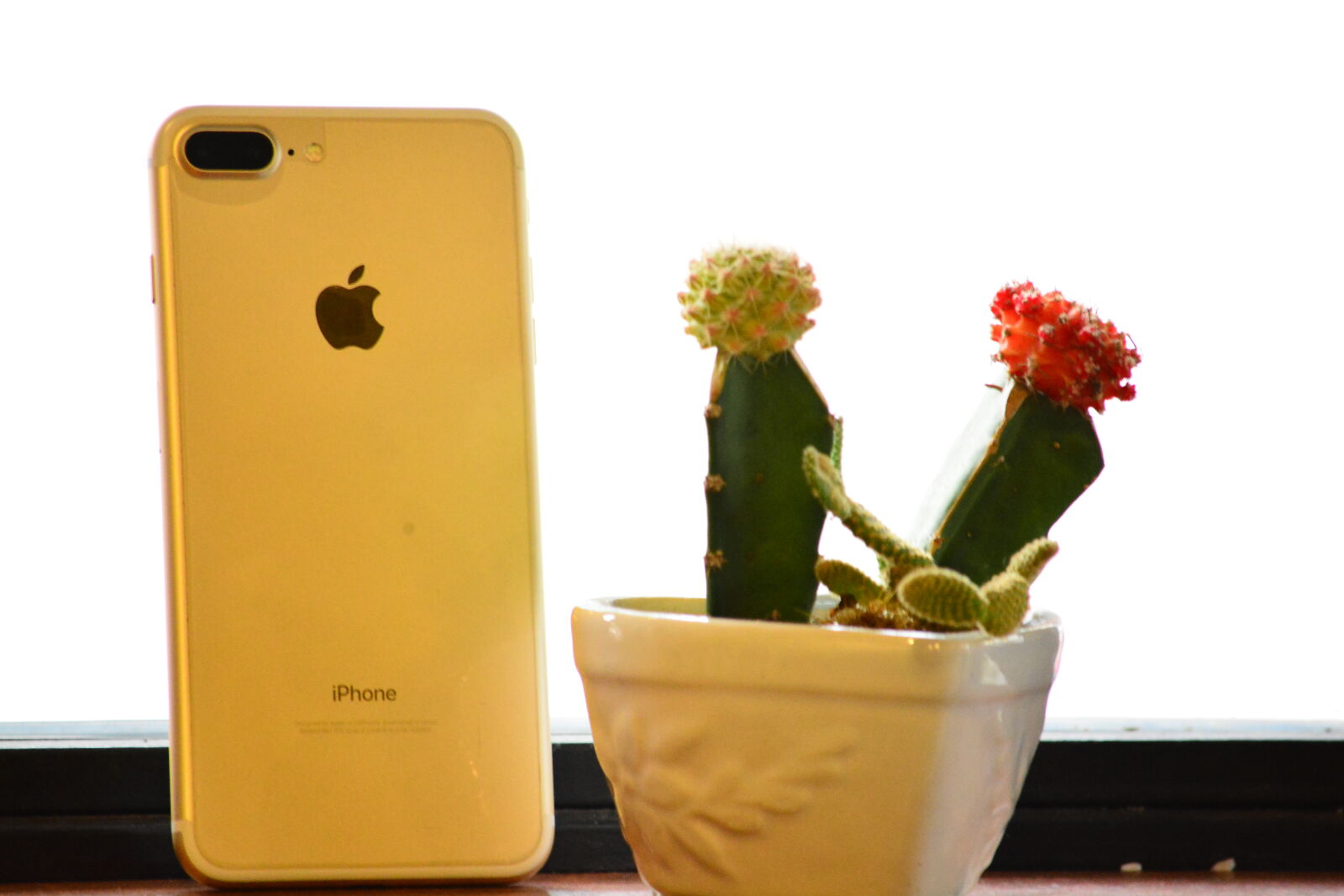 Nikon D7100 sample photo