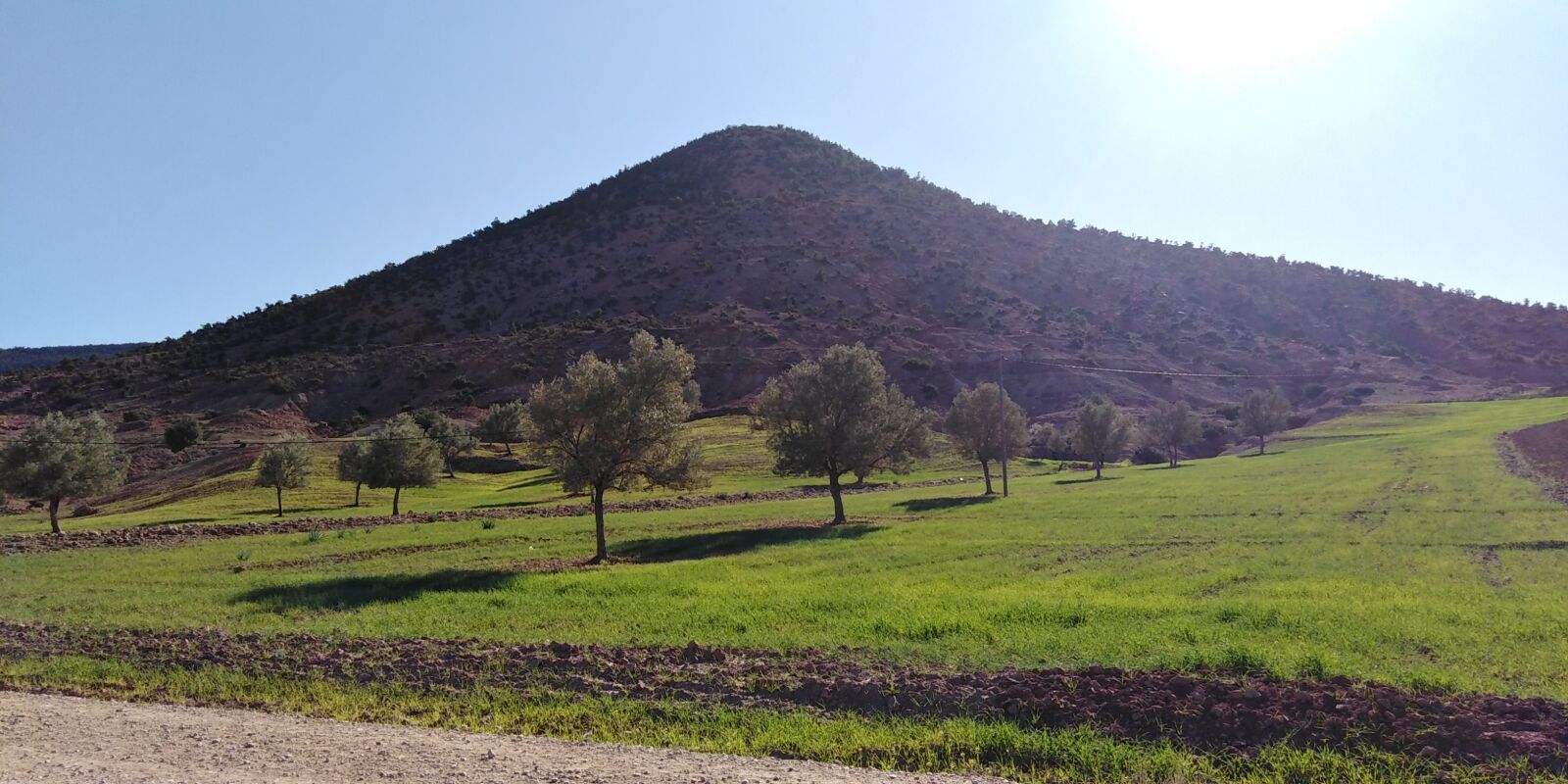 HUAWEI LDN-L21 sample photo. Morocco, trees, green photography