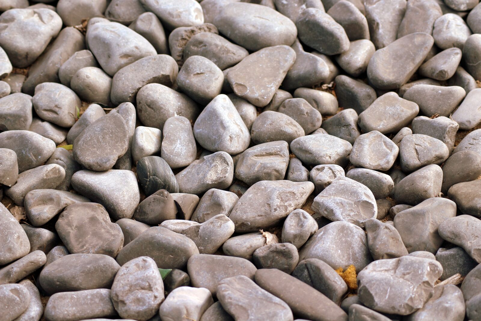 Canon EOS 1200D (EOS Rebel T5 / EOS Kiss X70 / EOS Hi) sample photo. The stones, pebbles, texture photography