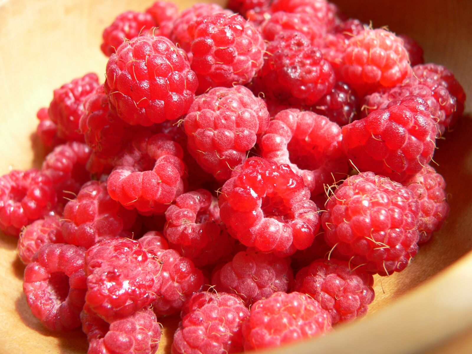 Panasonic DMC-FZ20 sample photo. Raspberries, berries, berry photography