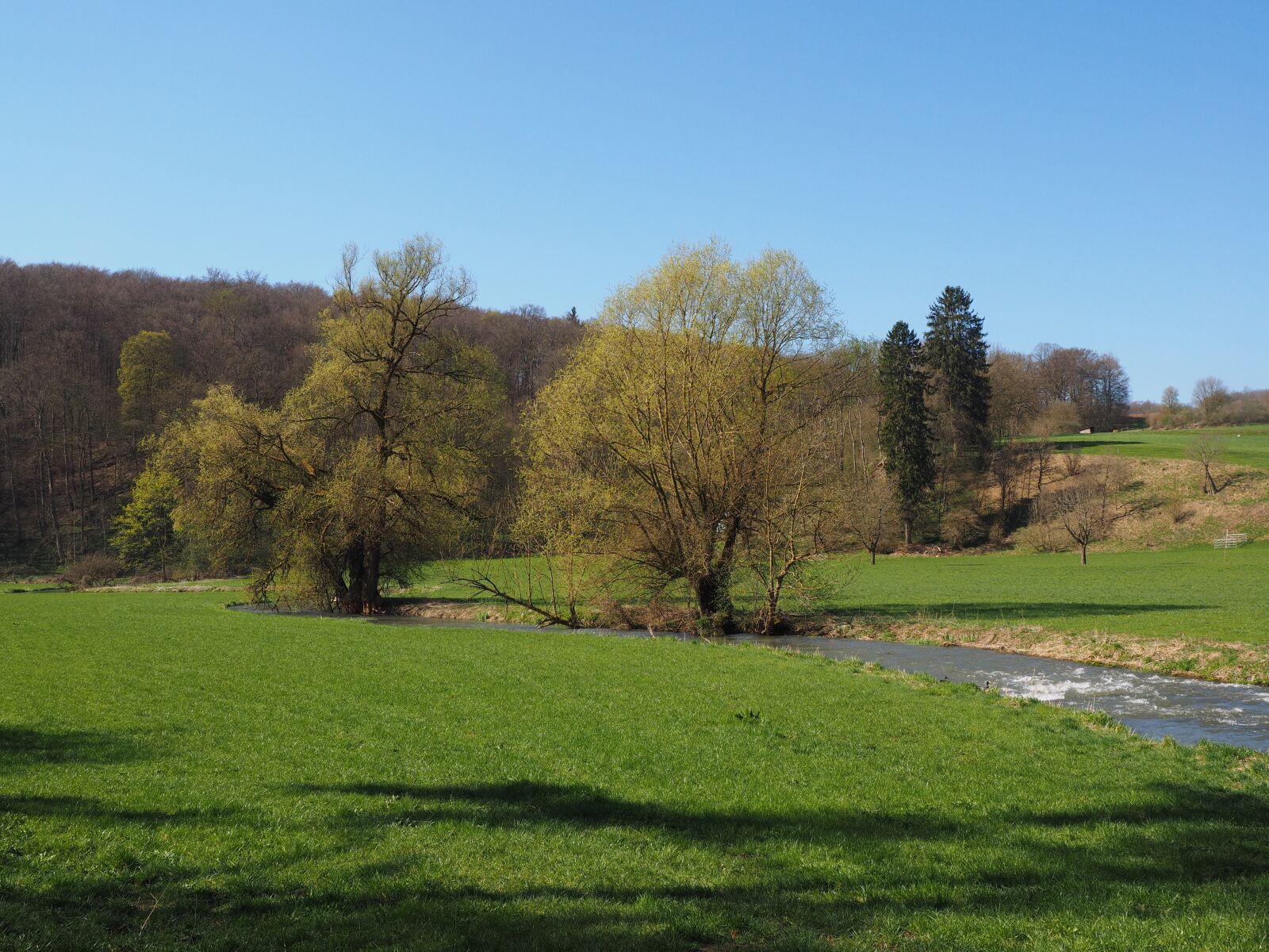 Olympus OM-D E-M1 + Olympus M.Zuiko Digital ED 12-40mm F2.8 Pro sample photo. Large lautertal, louder, river photography
