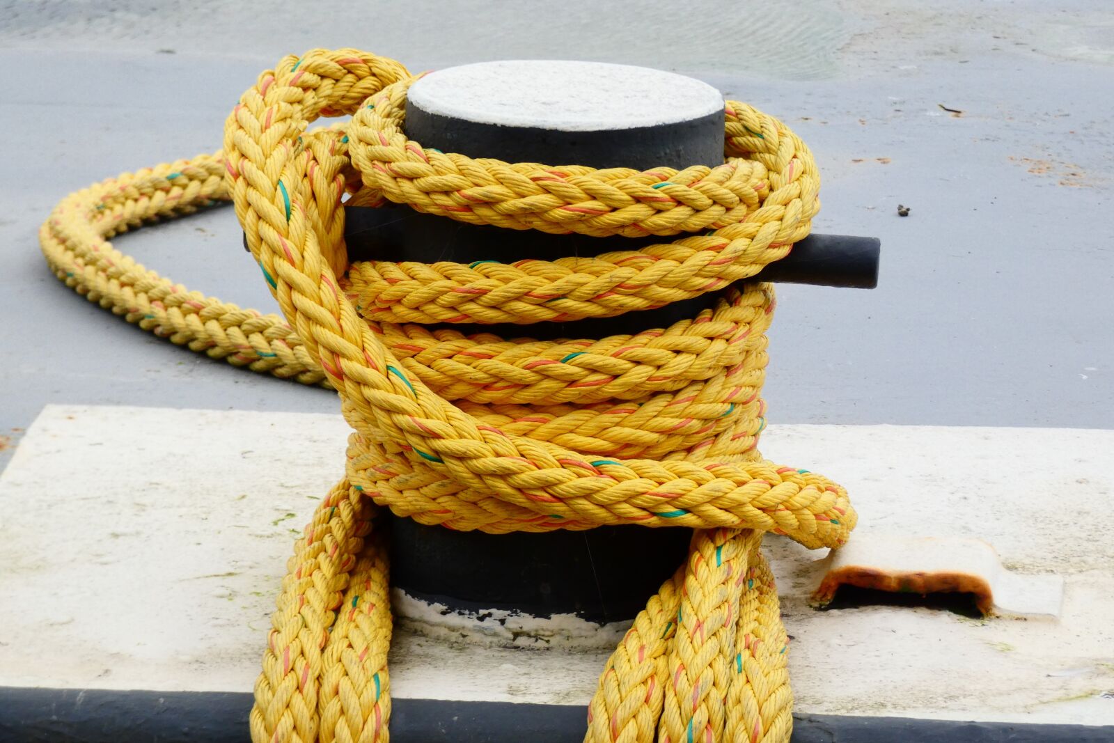 Panasonic Lumix DC-FZ80 (Lumix DC-FZ82) sample photo. Rope, yellow, maritime photography