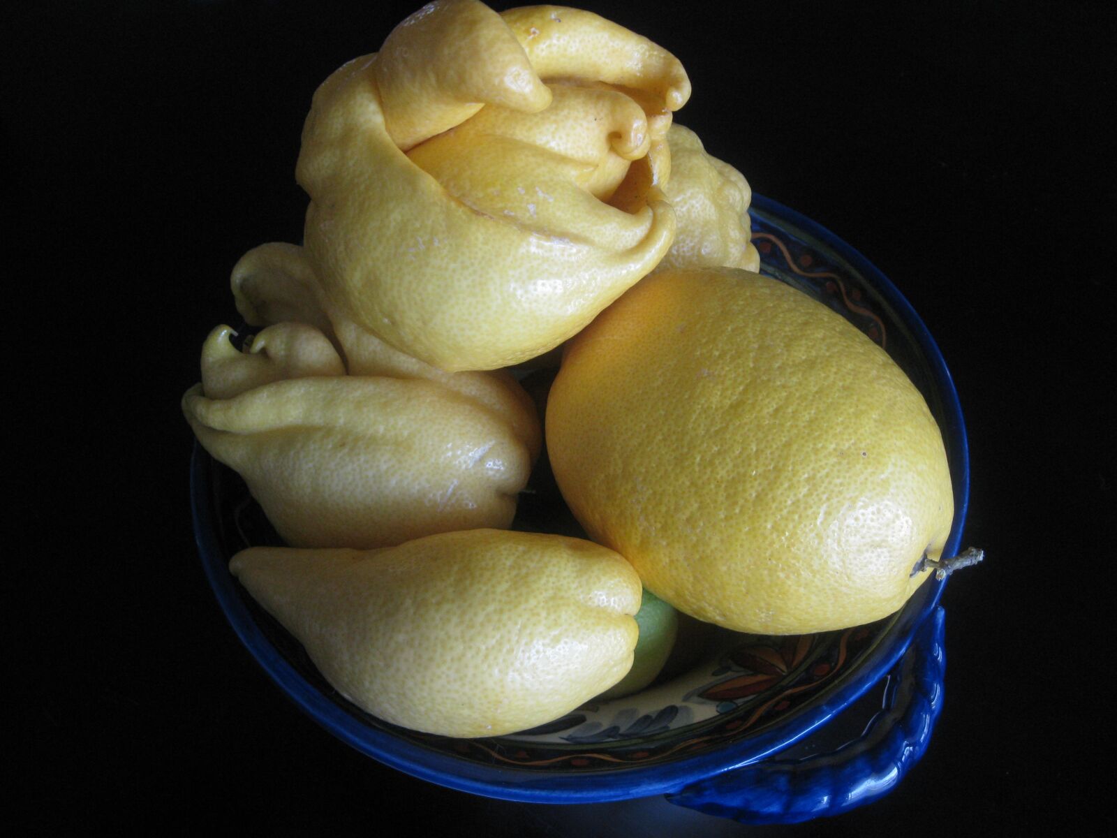Canon PowerShot A1000 IS sample photo. Lemons, fruit, bowl photography
