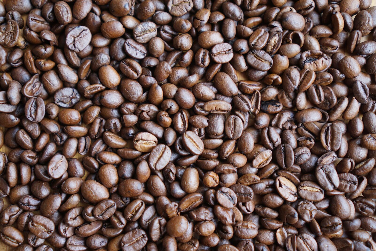 Sony a6000 + Sony E 35mm F1.8 OSS sample photo. Coffee, coffee beans, grains photography