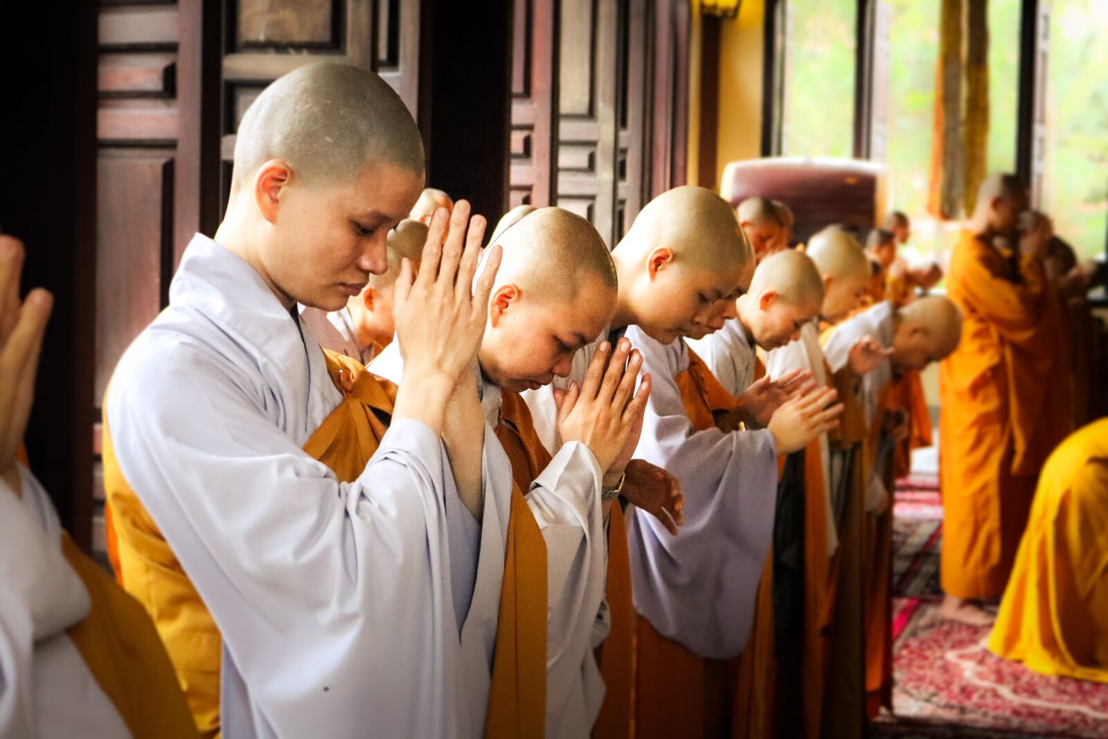 Canon EOS 750D (EOS Rebel T6i / EOS Kiss X8i) sample photo. Monks, vietnam monks, monk photography