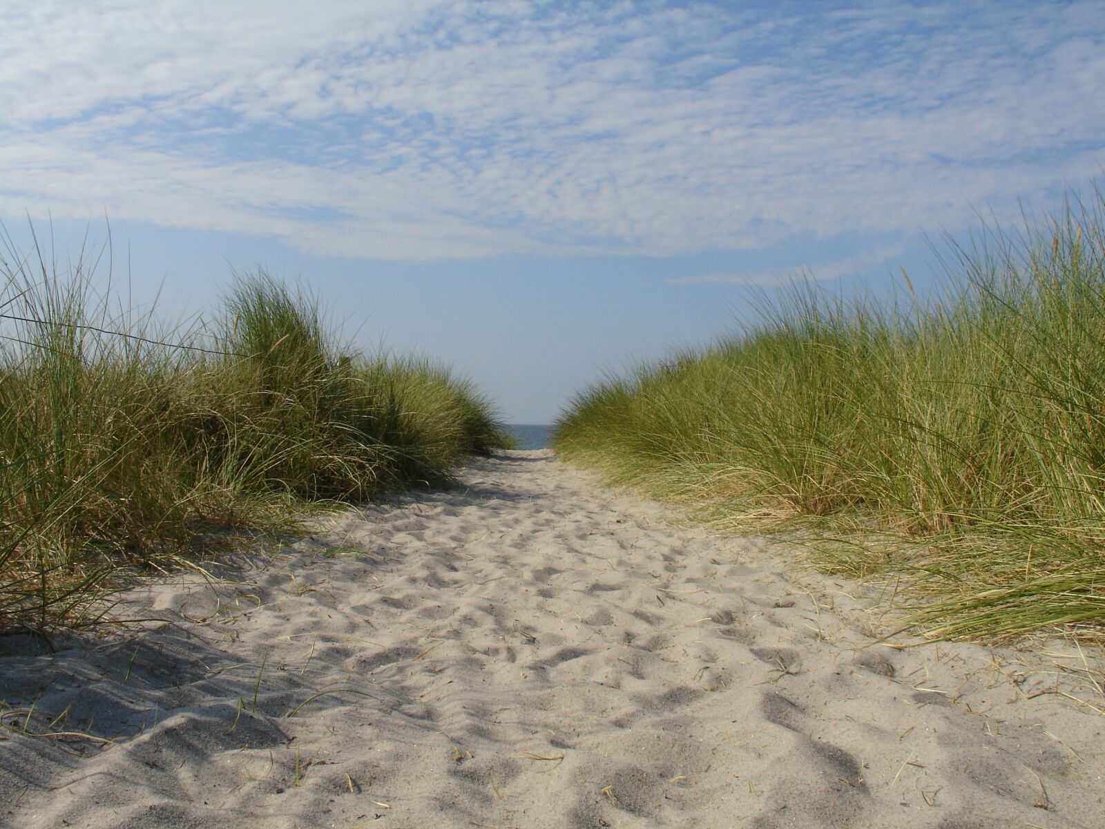 Sony DSC-V3 sample photo. Summer, sun, beach photography