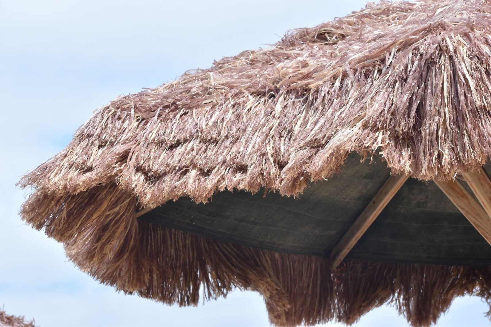 Nikon D5600 sample photo. Beach, beach umbrella, umbrellas photography