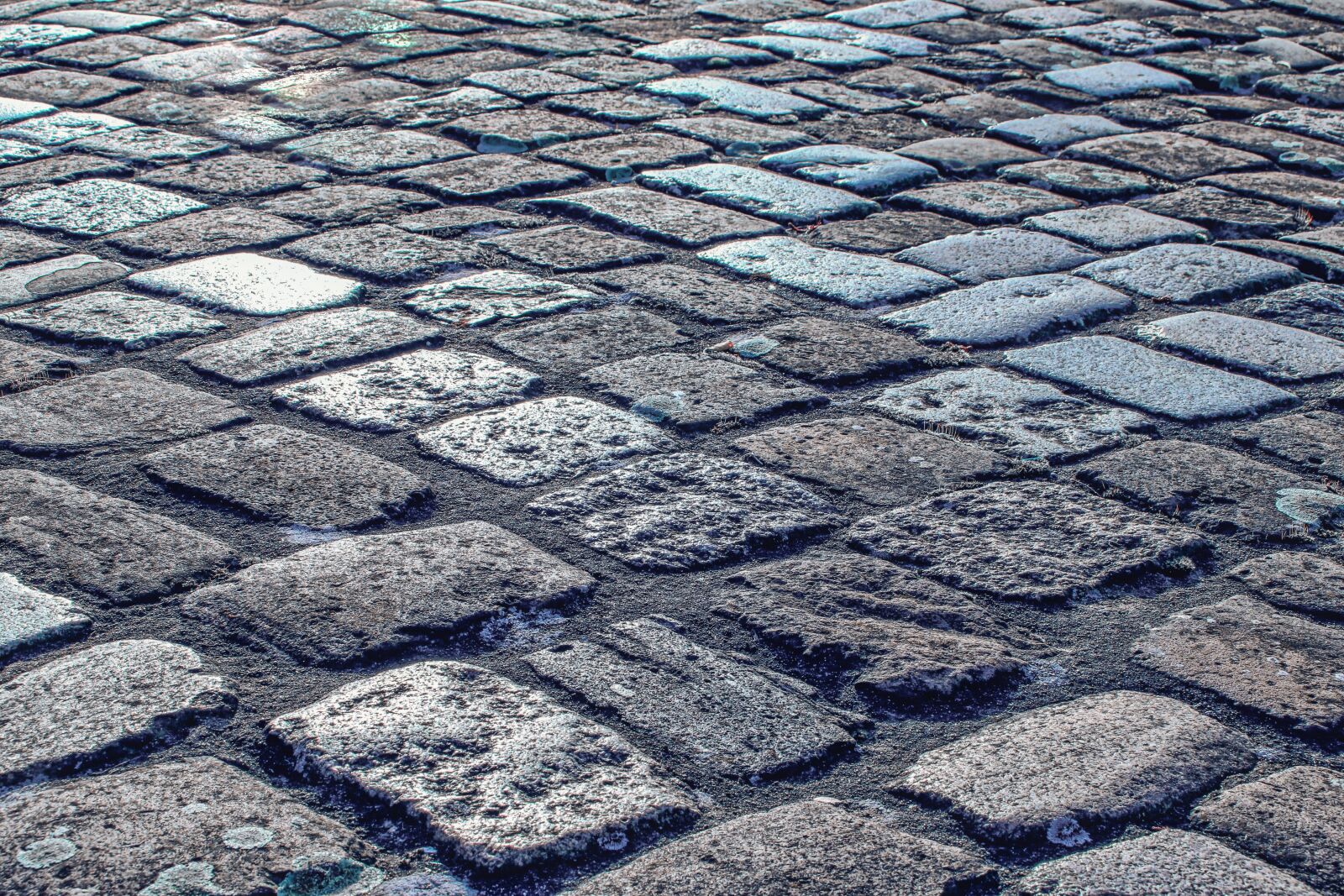 Canon EOS 80D sample photo. Patch, stone, road photography
