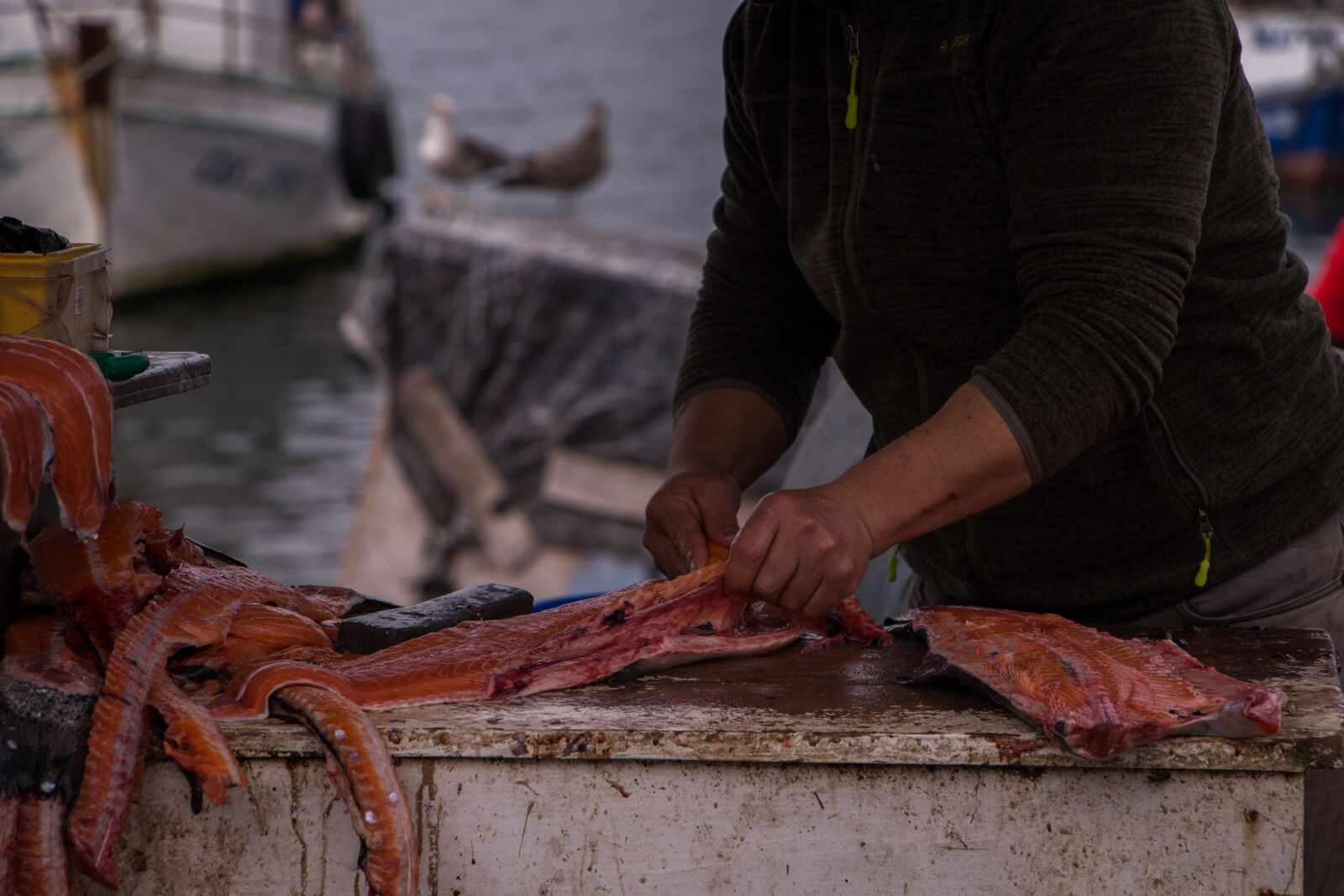 Canon EF-S 18-135mm F3.5-5.6 IS USM sample photo. Fish, salmon, chile photography
