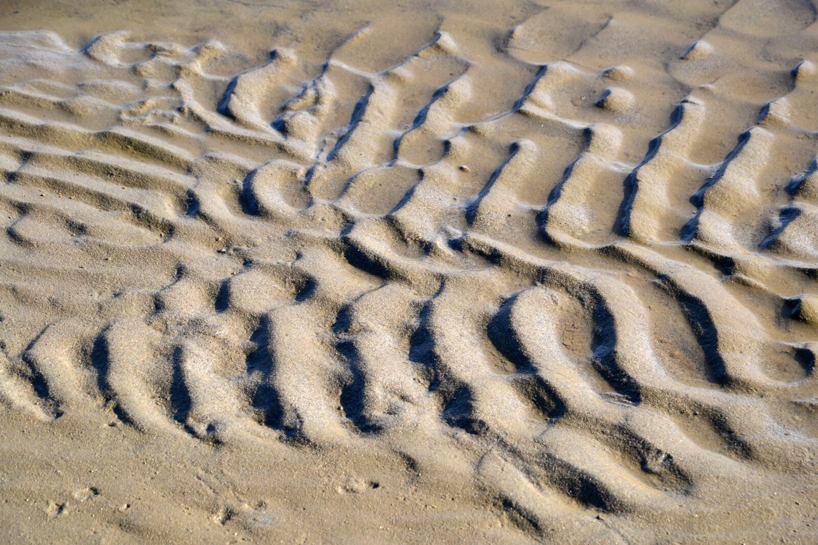 Nikon D3100 sample photo. Hungary, baranya, drava photography