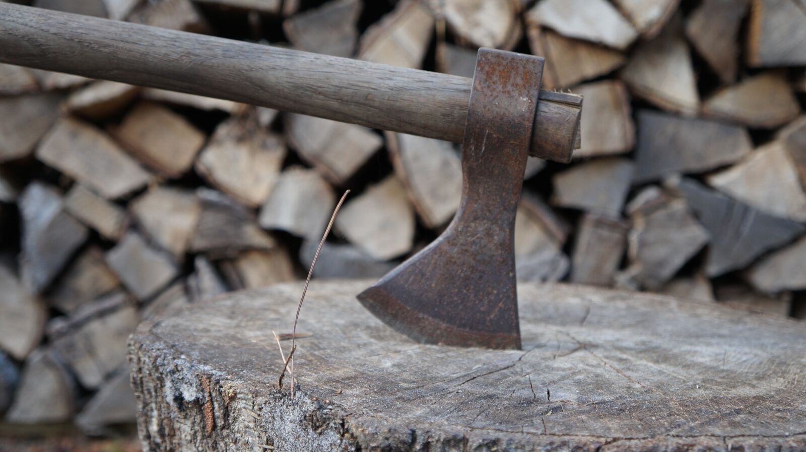 Sony Alpha a3000 + Sony E 18-55mm F3.5-5.6 OSS sample photo. Axe, wood, lumberjack photography