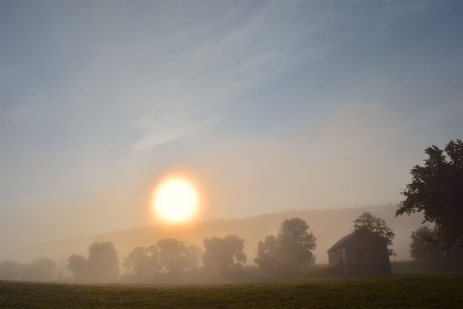 Nikon D3300 sample photo. Foggy, morning, field photography
