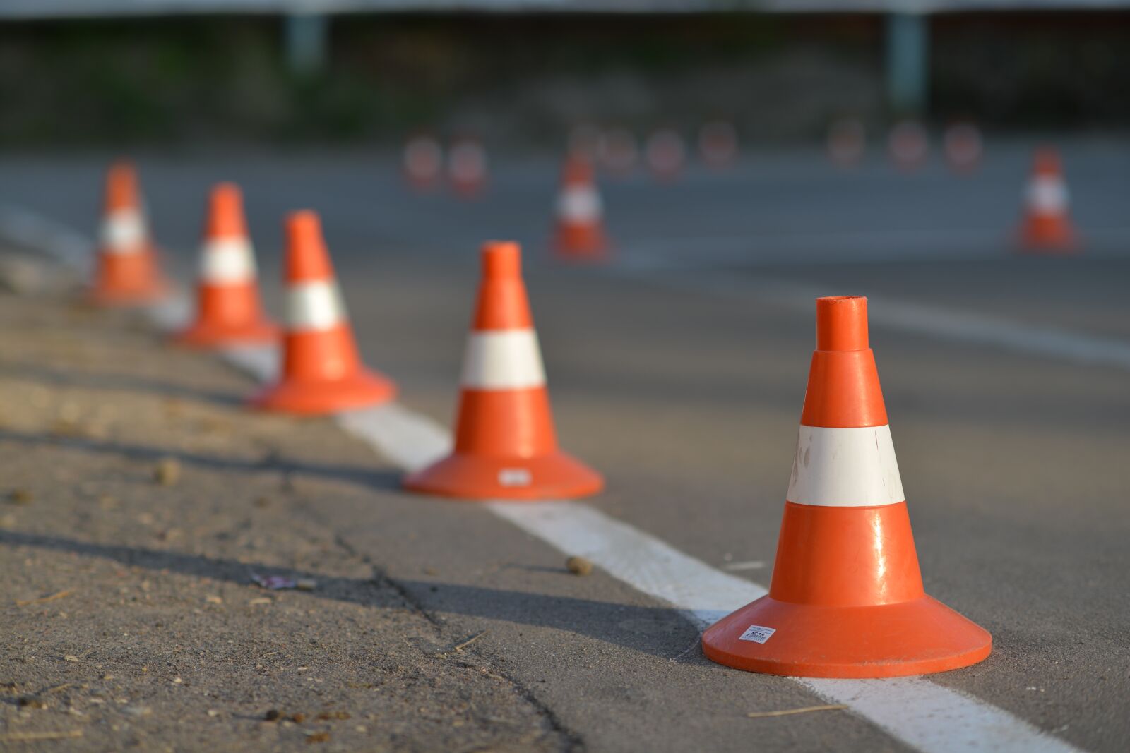 Nikon D800 sample photo. Road, orange, the markup photography