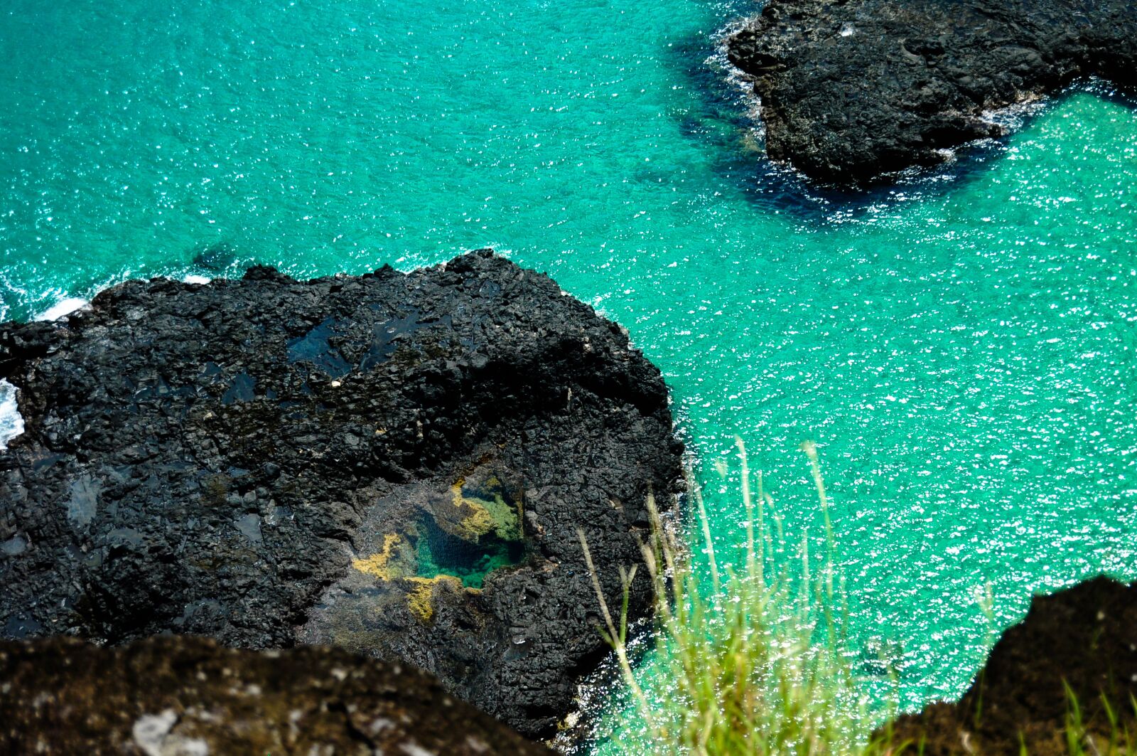 Nikon D5000 sample photo. Fernando, of, noronha photography