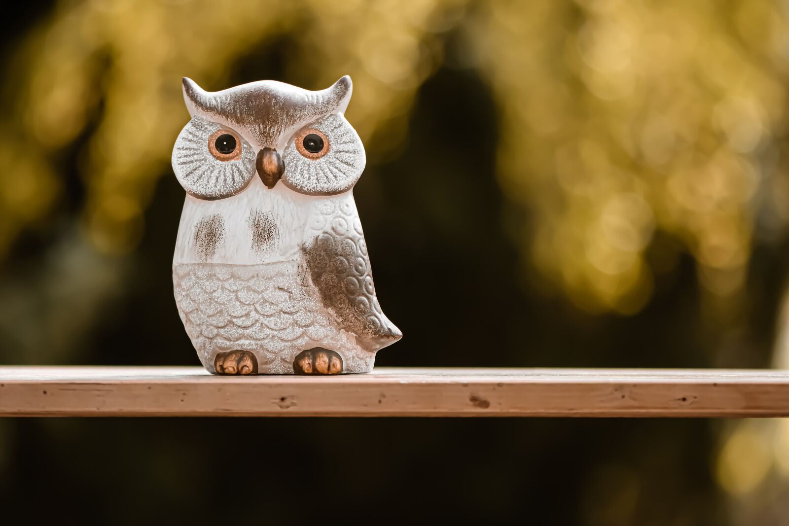 Nikon D7200 sample photo. Owl, forest, figure photography