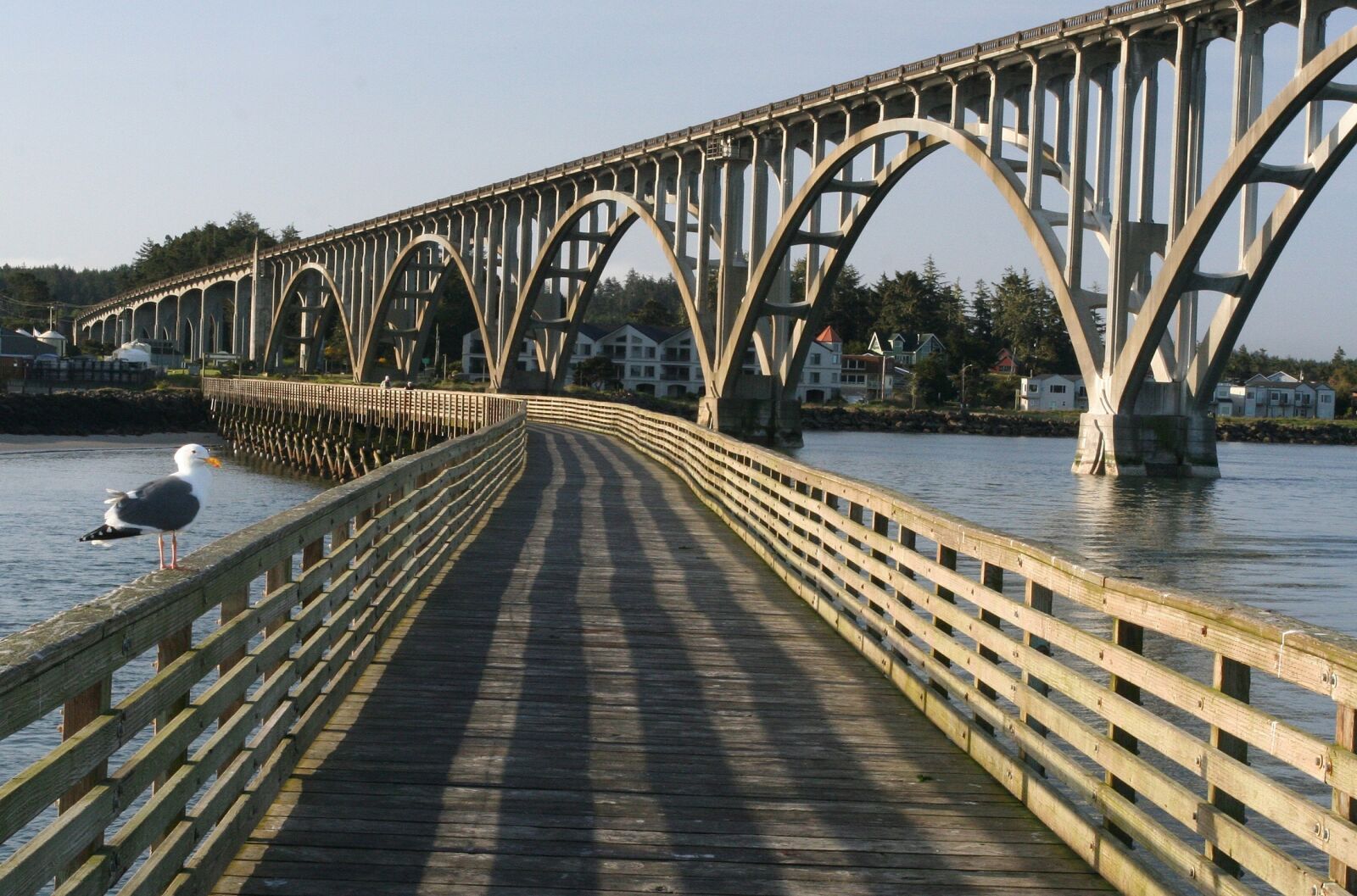Canon EOS 350D (EOS Digital Rebel XT / EOS Kiss Digital N) sample photo. Pier, bridge, water photography