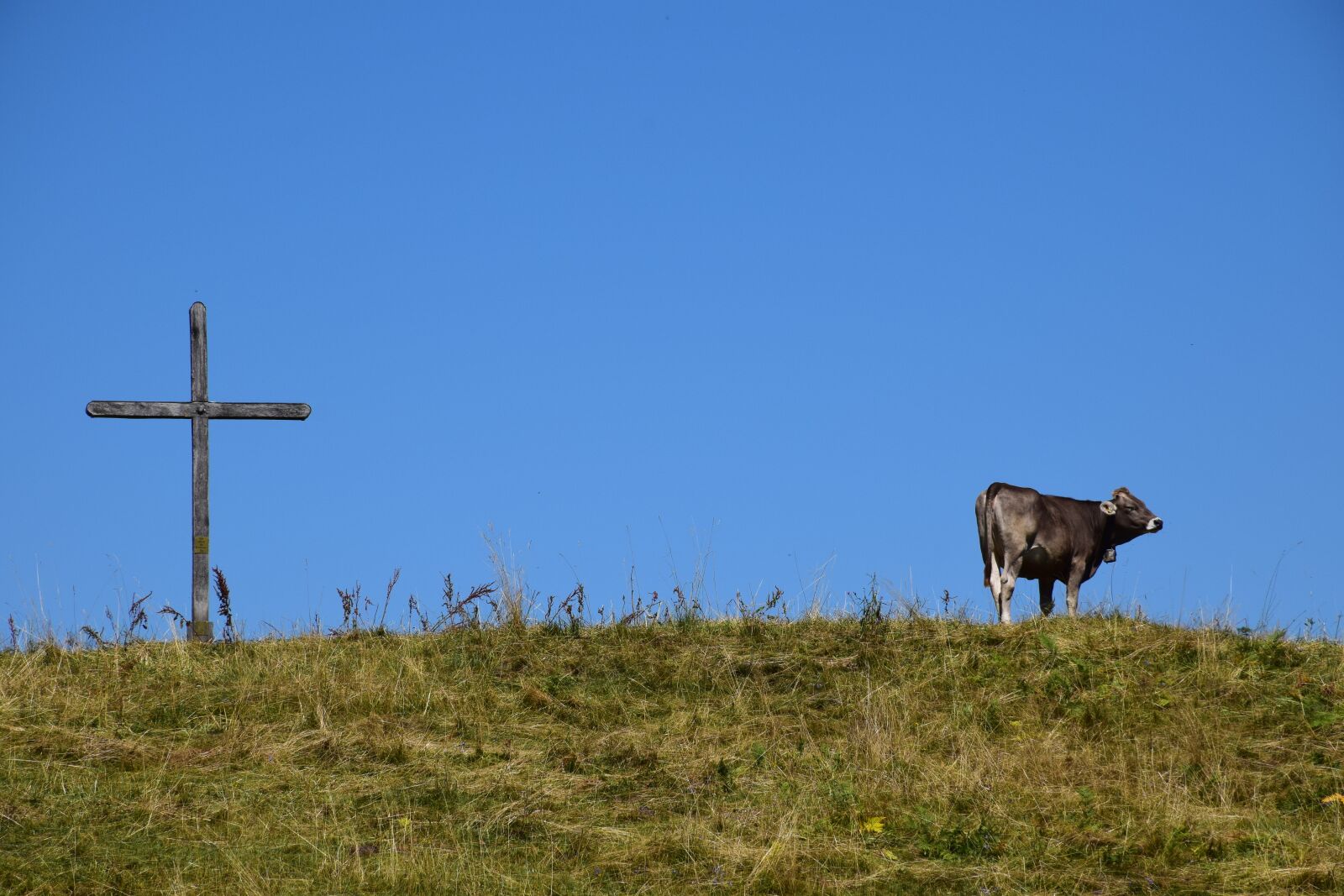 Nikon D5300 sample photo. Summit cross, cow, mountains photography