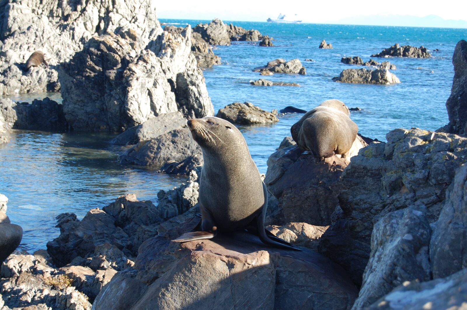 Nikon D40 sample photo. Red rock, new zealand photography