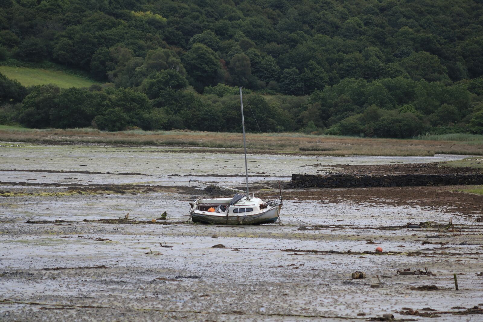 Canon EOS 750D (EOS Rebel T6i / EOS Kiss X8i) + EF75-300mm f/4-5.6 sample photo. Boat, low tide, beach photography
