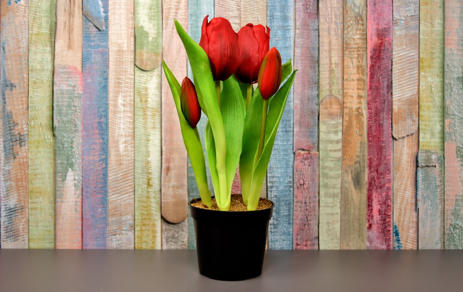Nikon D7200 sample photo. Tulips, flowers, artificial photography