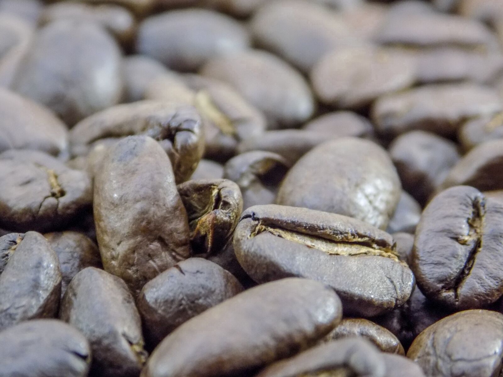 Nikon COOLPIX L330 sample photo. Coffee, grains, black photography