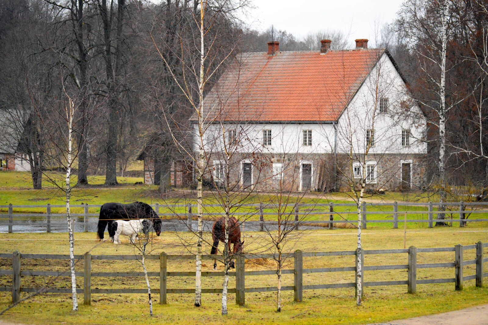 Nikon D3200 sample photo. Farm, farmhouse, horses photography