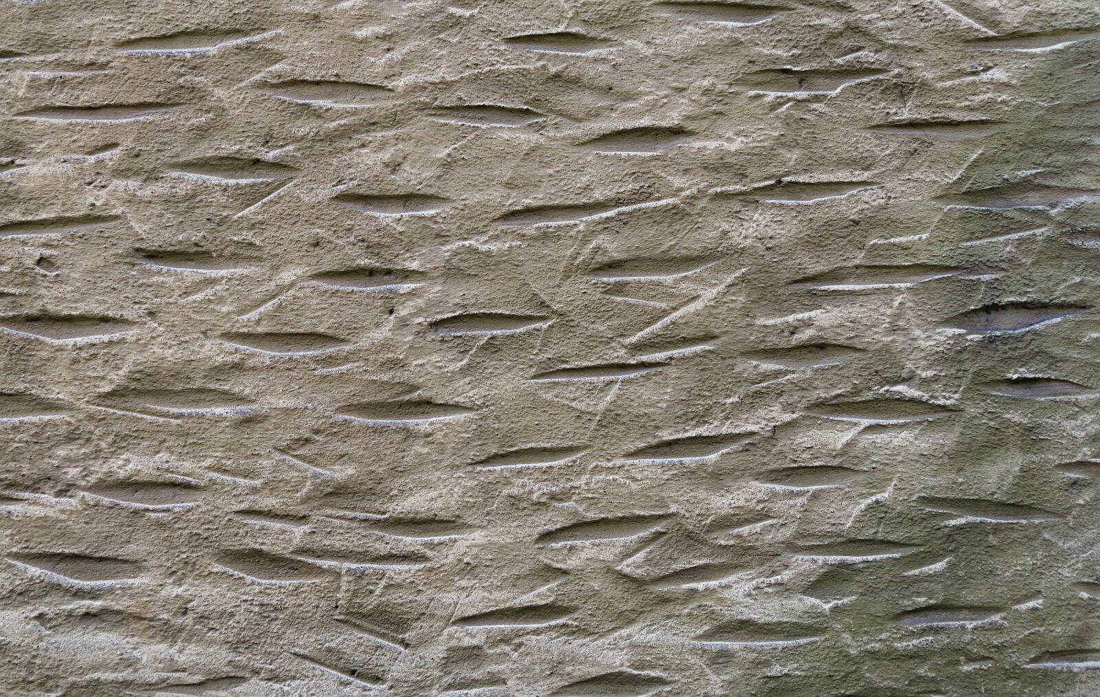 Panasonic Lumix DMC-FZ1000 sample photo. Facade, plaster, spotty photography