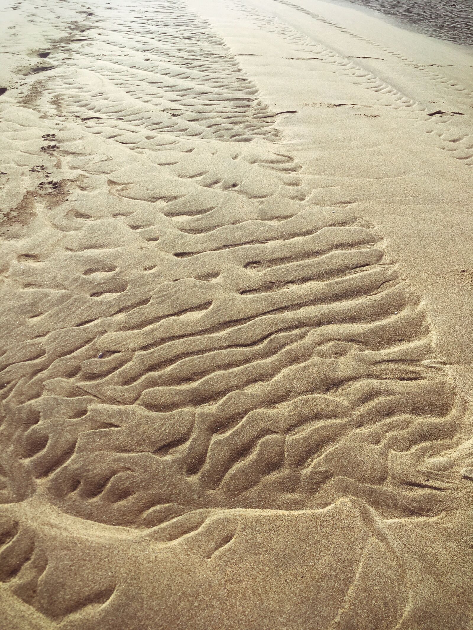 iPhone SE back camera 4.15mm f/2.2 sample photo. Beach, sand, water photography