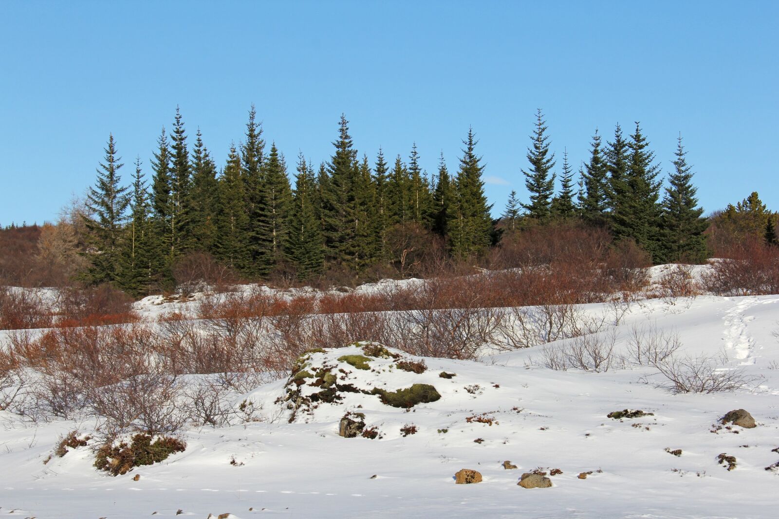 Canon EF-S 18-200mm F3.5-5.6 IS sample photo. Magical, view, beautiful photography