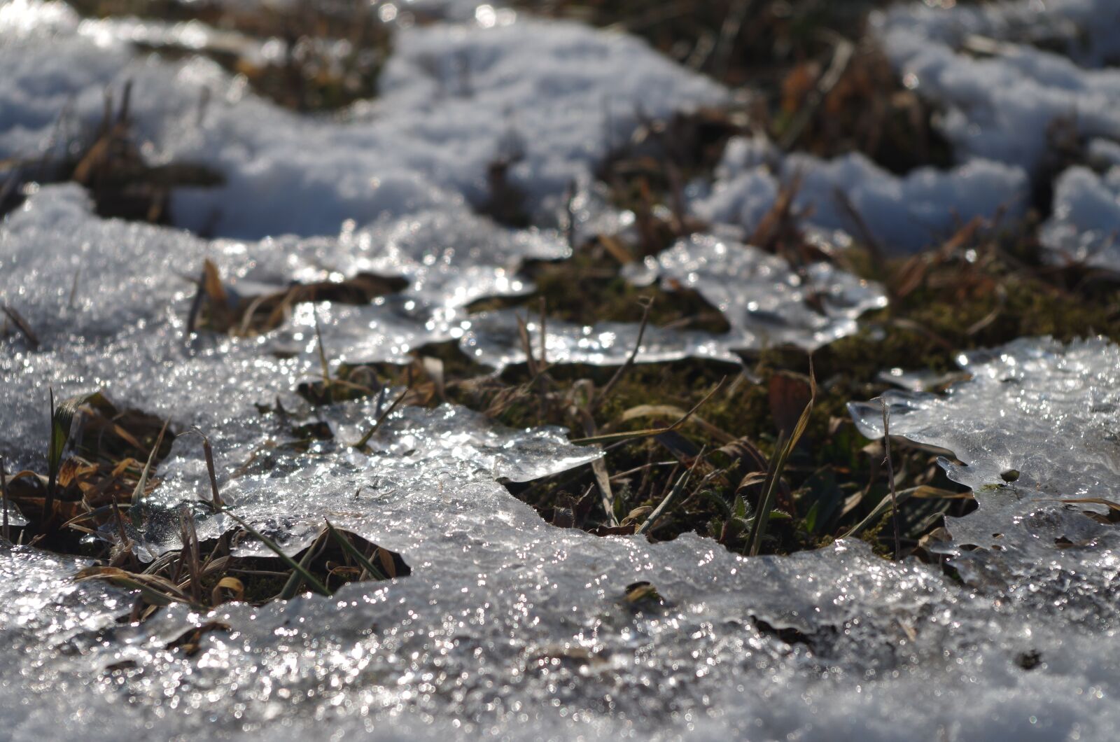 Pentax K-500 sample photo. Ice, snow, winter photography