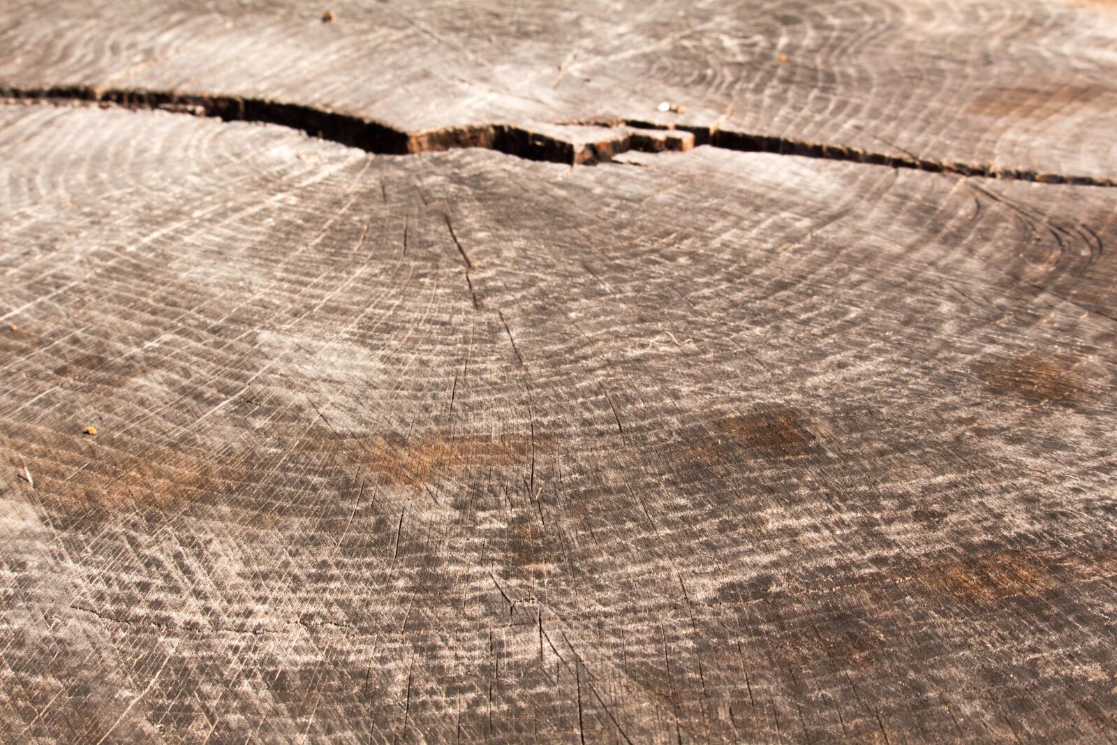 Canon EOS 700D (EOS Rebel T5i / EOS Kiss X7i) sample photo. Wood, pattern, abstract photography