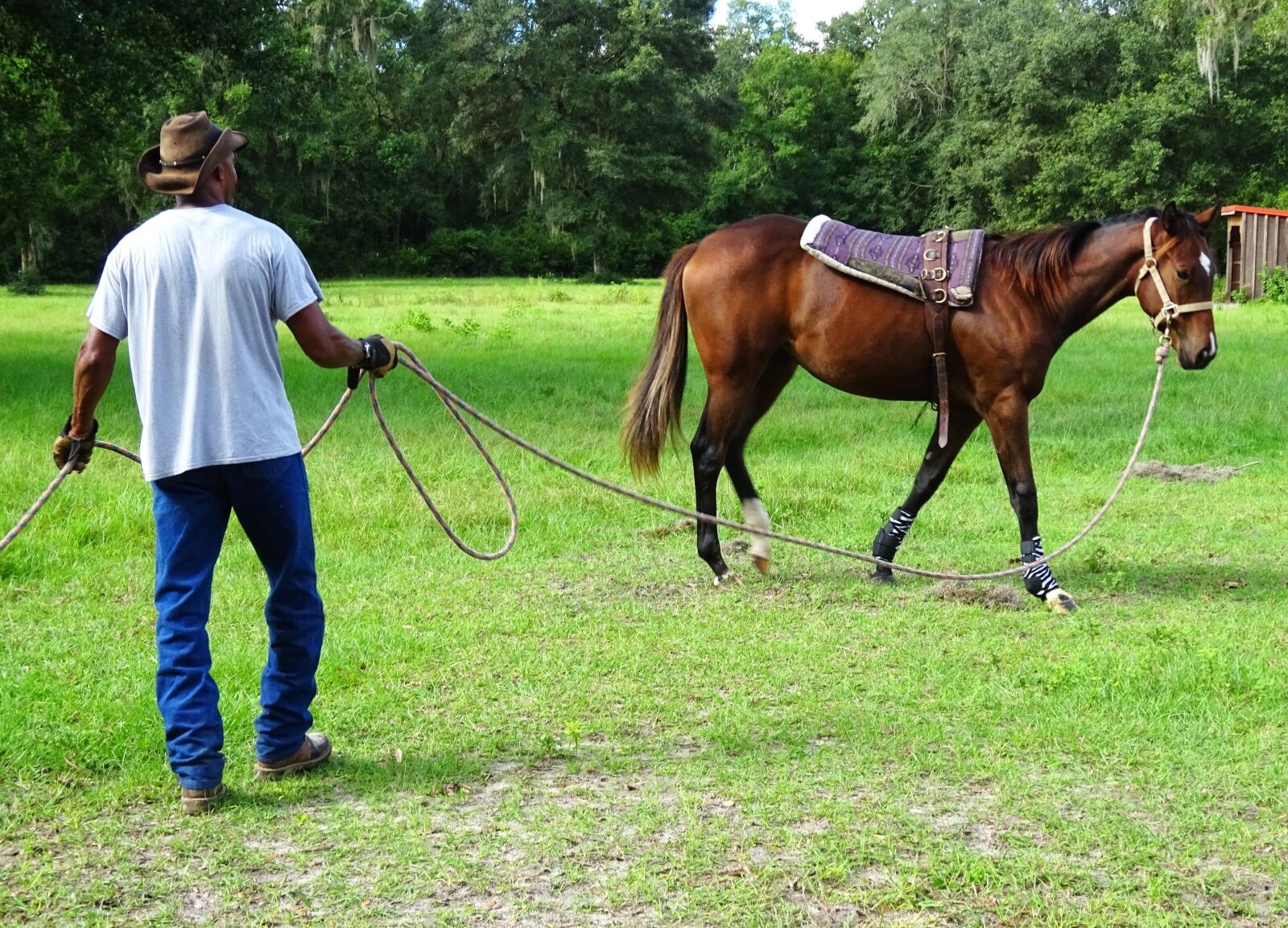 Sony Cyber-shot DSC-WX350 sample photo. Horse, training, trainer photography