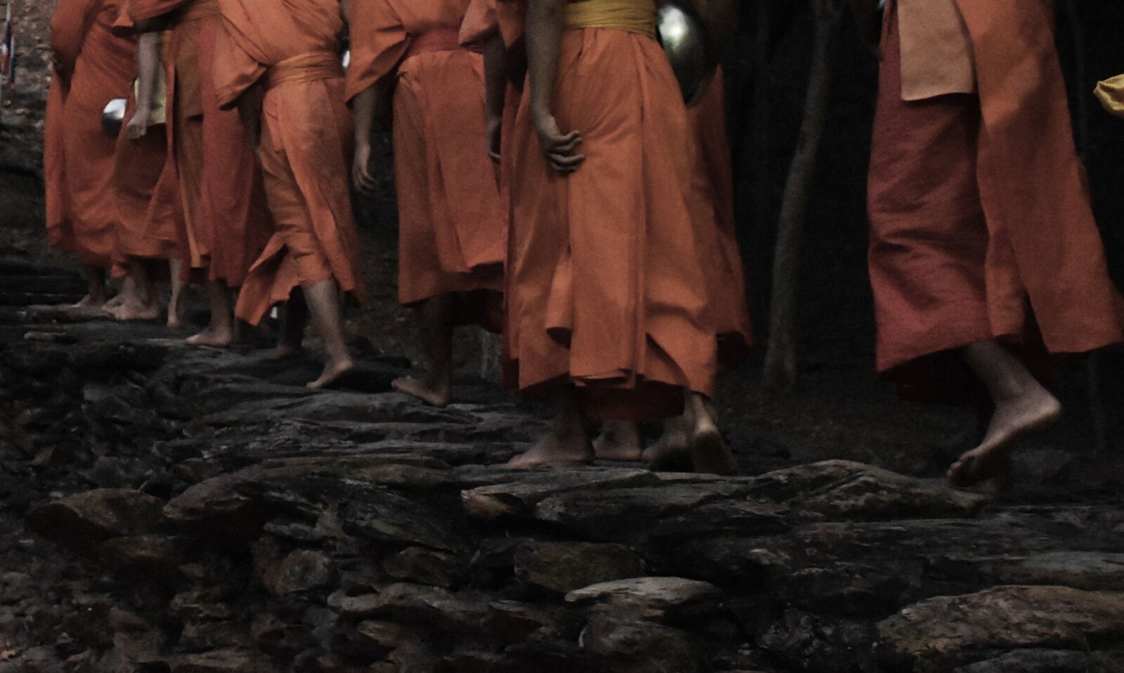 Nikon D5600 sample photo. Monk, alms, buddhism photography