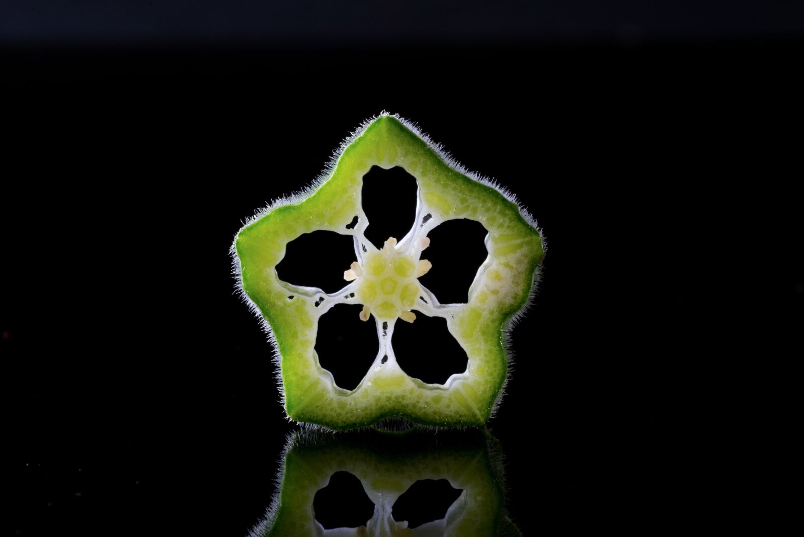 ZEISS Makro-Planar T* 50mm F2 sample photo. Okra, sliced, isolated photography