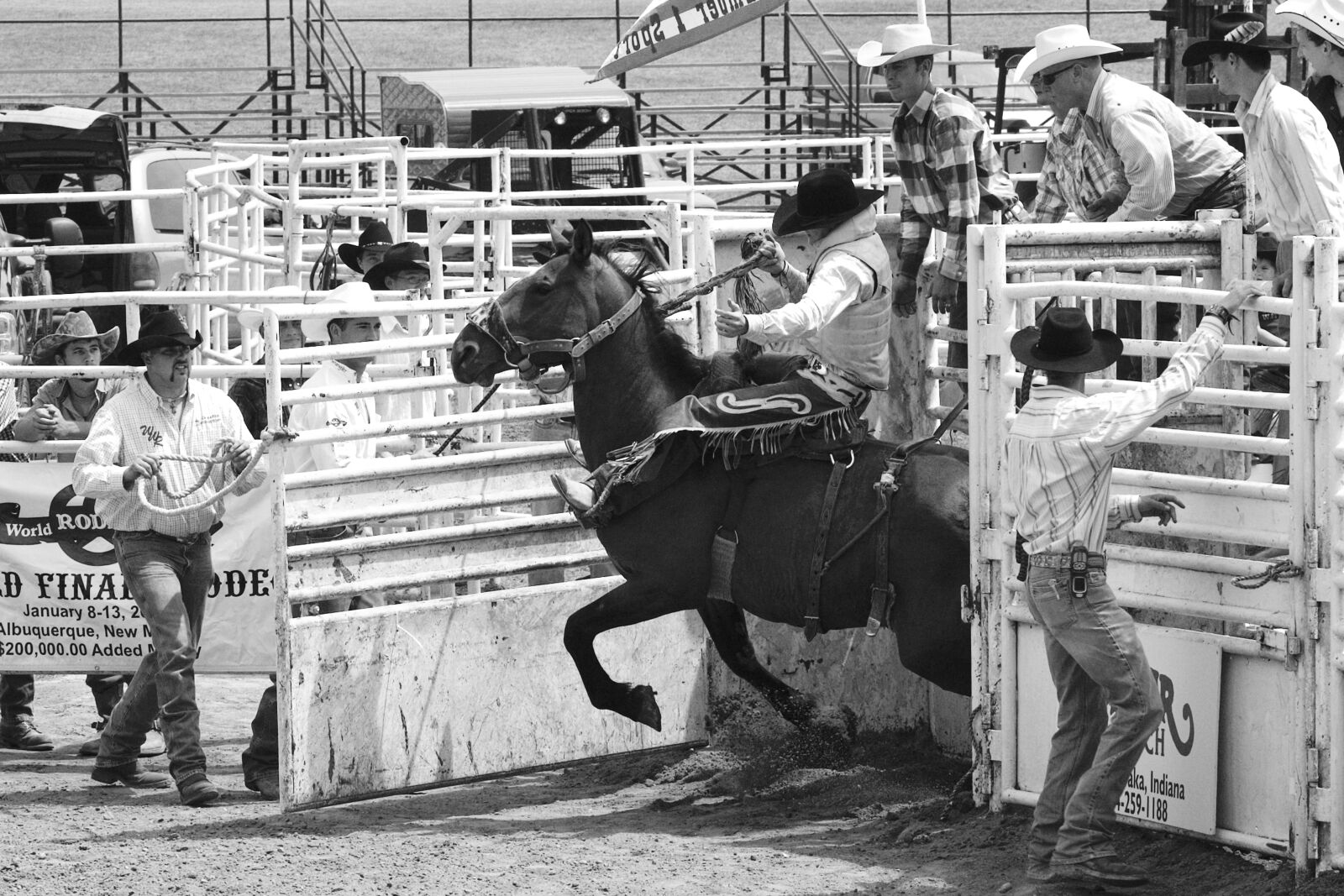 Nikon D70 sample photo. Rodeo, men, horses photography