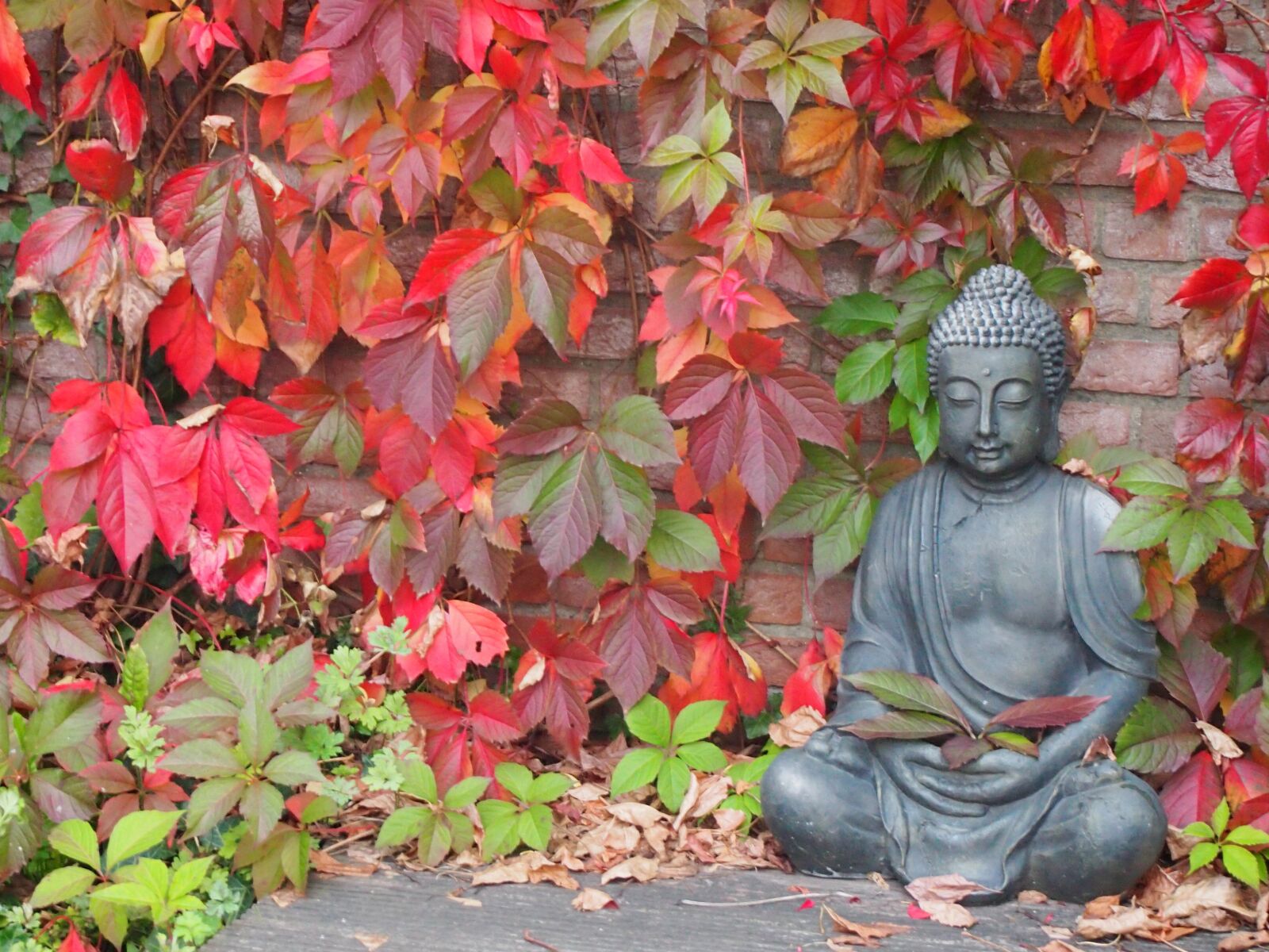 Olympus PEN E-PL3 sample photo. Red leaves, autumn, buddha photography