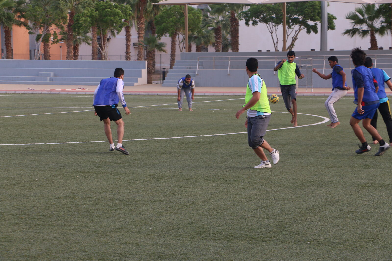 Canon EOS 70D sample photo