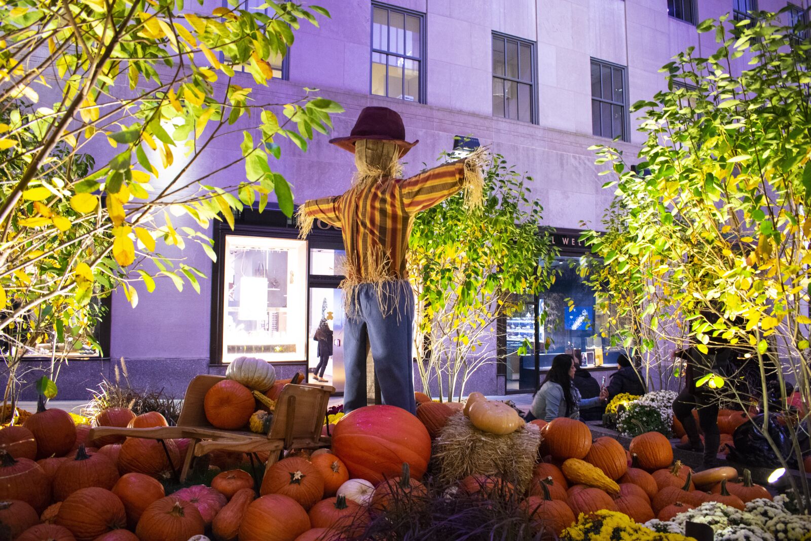 Nikon D3400 sample photo. Halloween, halloween at rockefeller photography
