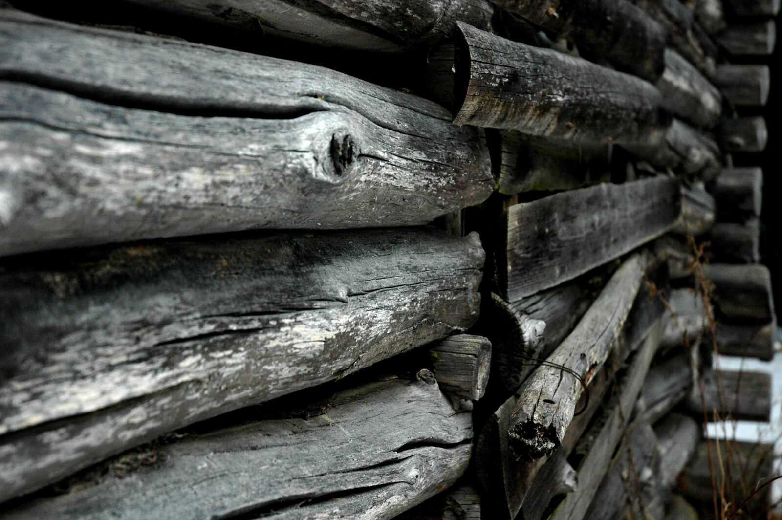 Nikon D70s sample photo. Log, a log wall photography