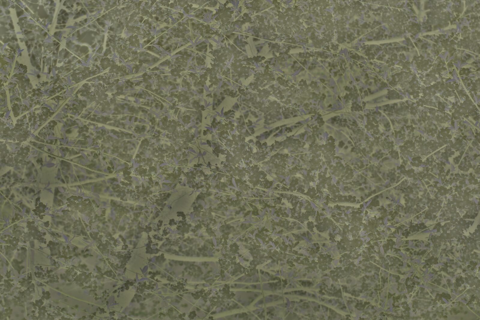 Nikon D5300 sample photo. Texture, the background, pattern photography