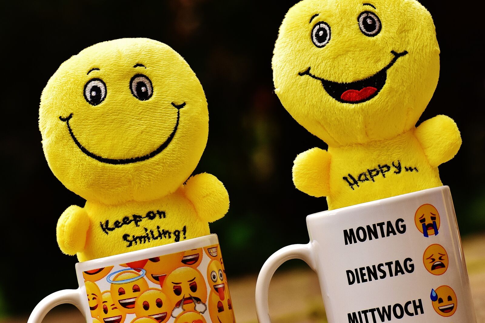 Nikon D7200 sample photo. Smilies, cup, yellow photography